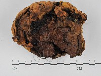 登錄號:F0029696藏品圖，第3張