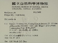 登錄號:F0029698藏品圖，第2張