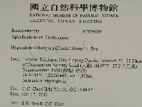 登錄號:F0029699藏品圖，第2張