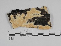 登錄號:F0029699藏品圖，第1張