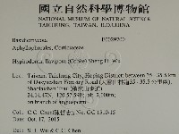 登錄號:F0029700藏品圖，第2張