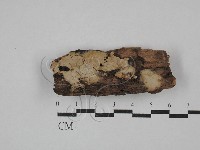 登錄號:F0029701藏品圖，第1張