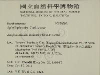 登錄號:F0029702藏品圖，第2張