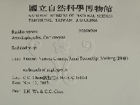 登錄號:F0029708藏品圖，第2張