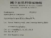 登錄號:F0029709藏品圖，第2張