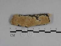 登錄號:F0029709藏品圖，第1張