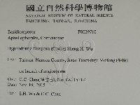 登錄號:F0029710藏品圖，第2張