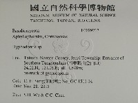 絲齒菌屬藏品圖，第2張