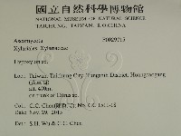 登錄號:F0029715藏品圖，第2張