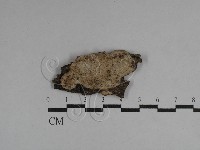 登錄號:F0029715藏品圖，第1張