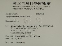 絲皮菌屬藏品圖，第2張