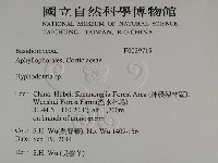 絲齒菌屬藏品圖，第2張