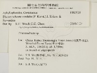 登錄號:F0029720藏品圖，第2張