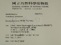 登錄號:F0029724藏品圖，第2張