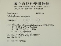 登錄號:F0029725藏品圖，第2張