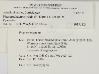 登錄號:F0029729藏品圖，第2張