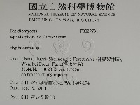 絲皮菌屬藏品圖，第2張