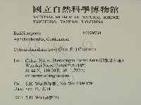 登錄號:F0029734藏品圖，第2張