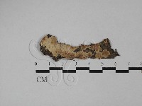登錄號:F0029734藏品圖，第1張