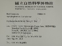 登錄號:F0029735藏品圖，第2張