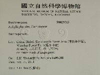 登錄號:F0029745藏品圖，第2張