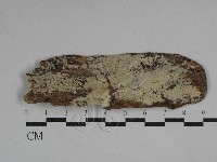 登錄號:F0029745藏品圖，第1張