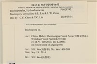 登錄號:F0029745藏品圖，第3張