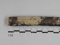 登錄號:F0029746藏品圖，第1張