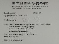 絲齒菌屬藏品圖，第2張