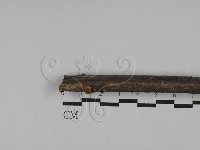 登錄號:F0029749藏品圖，第1張