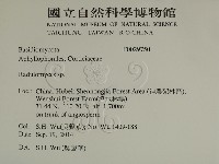 登錄號:F0029750藏品圖，第2張