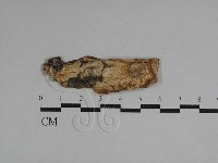 登錄號:F0029750藏品圖，第1張