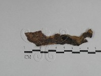 登錄號:F0029751藏品圖，第5張