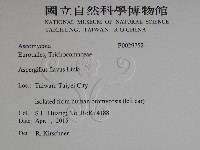 登錄號:F0029752藏品圖，第2張