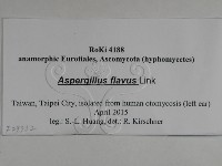 登錄號:F0029752藏品圖，第3張