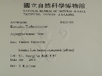 登錄號:F0029753藏品圖，第2張