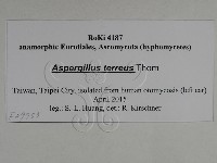 登錄號:F0029753藏品圖，第3張