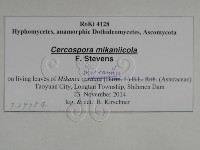 登錄號:F0029754藏品圖，第3張