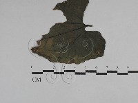 登錄號:F0029754藏品圖，第1張