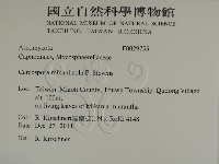 登錄號:F0029755藏品圖，第2張