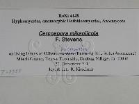 登錄號:F0029755藏品圖，第3張