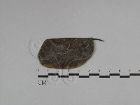 登錄號:F0029756藏品圖，第1張