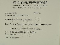 登錄號:F0029757藏品圖，第2張