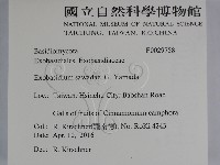 登錄號:F0029758藏品圖，第2張