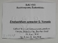 登錄號:F0029758藏品圖，第3張