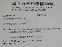 登錄號:F0029759藏品圖，第2張