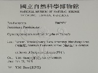 登錄號:F0029761藏品圖，第2張