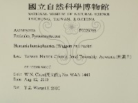 登錄號:F0029766藏品圖，第2張