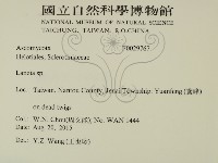 登錄號:F0029767藏品圖，第2張