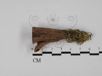 登錄號:F0029767藏品圖，第1張